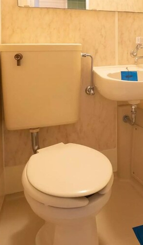 ピアニシオン ブローニュ クレストのトイレ写真
