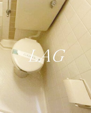 東急目黒線 不動前駅 徒歩4分 7階建 築37年のトイレ写真