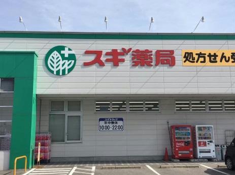 ドラックストア　スギ薬局中島店（ドラッグストア）まで857m