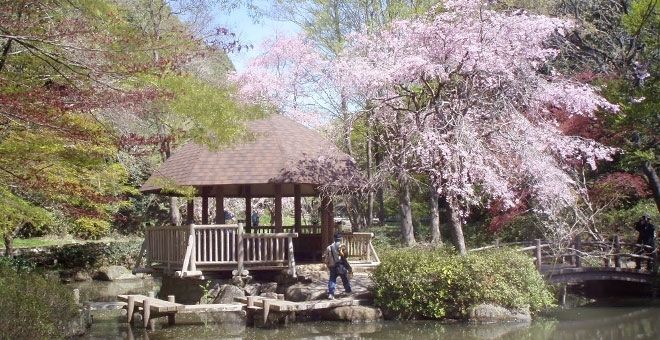 公園　東高根森林公園（公園）まで979m