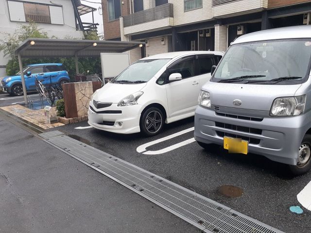 フェアリールゥーのその他写真