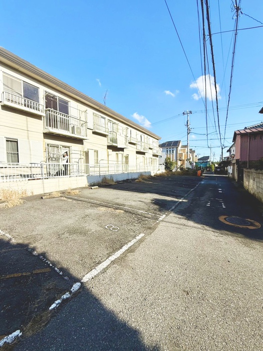 ビーカーサモトヤワタリボーンのその他写真