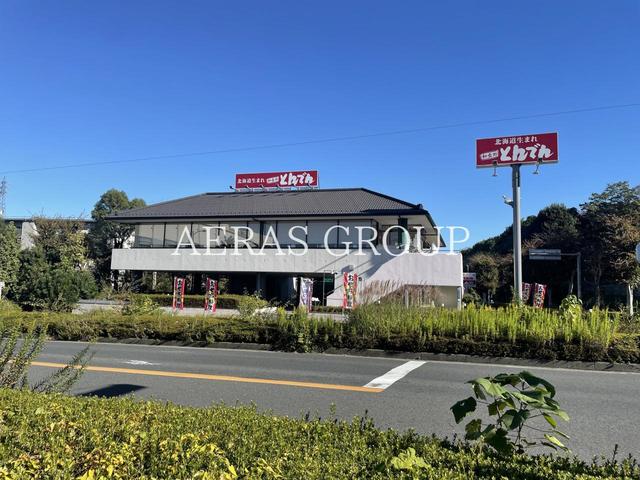 飲食店　北海道生まれ和食処とんでん 和光店（飲食店）まで1184m