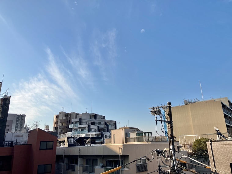レーベン リヴァーレ東京ラ・トーレのその他写真