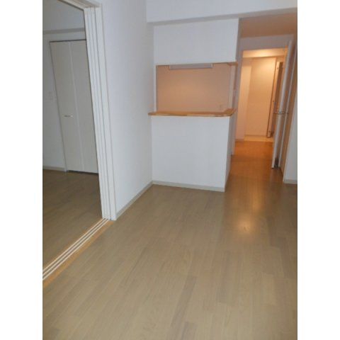 居室・リビング　LuCe bunkyo(ルーチェブンキョウ)　文京区水道2