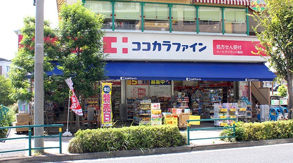 ドラックストア　ココカラファイン ヨークプライス西新井店（ドラッグストア）まで723m