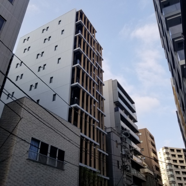 【中央区湊のマンションの玄関】