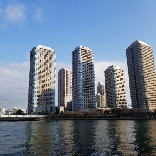 【中央区湊のマンションのセキュリティ】