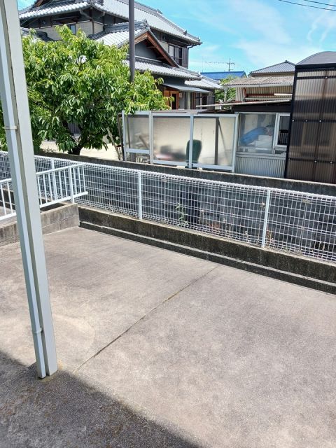 庭