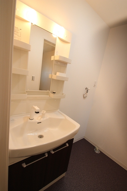 洗面設備　他号室の写真です