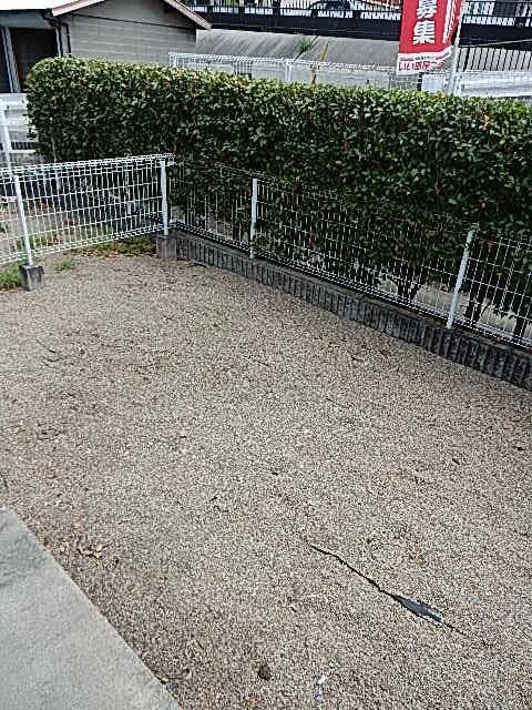 庭　広めの庭です