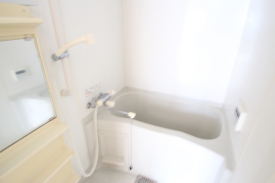 バス・シャワールーム　※別部屋の写真です