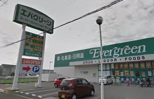 ドラックストア　エバグリーン紀三井寺店（ドラッグストア）まで667m