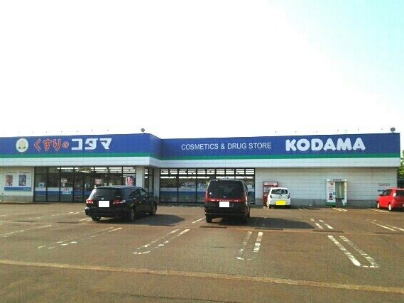 ドラックストア　くすりのコダマ（ドラッグストア）まで1130m