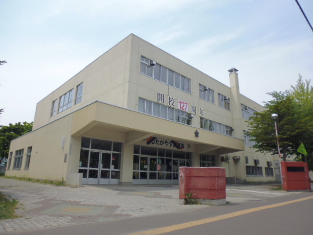 小学校　札幌市立新琴似小学校（小学校）まで446m