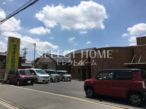 病院　ライオン動物病院（病院）まで70m