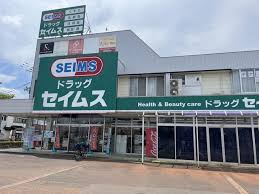 ドラックストア　ドラッグセイムス 中山店（ドラッグストア）まで681m