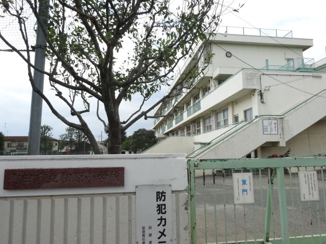 小学校　市立相原小学校（小学校）まで170m