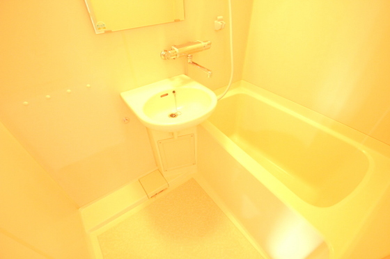 バス・シャワールーム　※別部屋の写真です