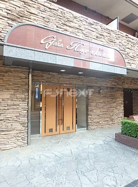 エントランス　★《見学予約受付中》設備充実分譲賃貸マンション★