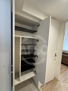 収納　Alivis放出　シューズボックス