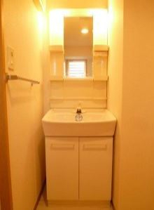 洗面設備　別室のタイプの写真となります。