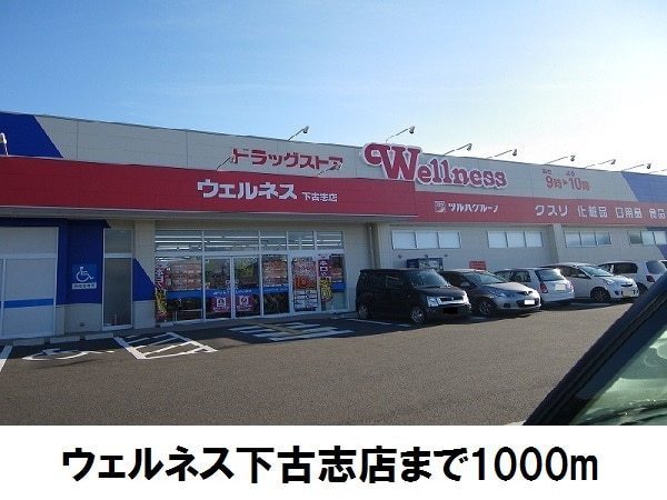 ドラックストア　ドラッグストアウェルネス下古志店（ドラッグストア）まで1062m