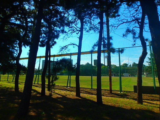 公園　中央公園（公園）まで1018m