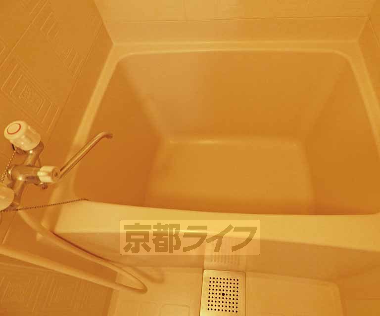 バス・シャワールーム　広い浴室です。