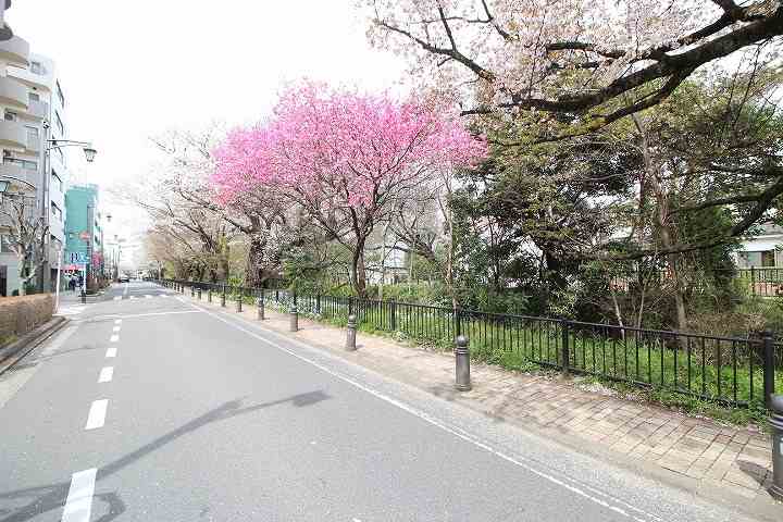 その他　風の散歩道（その他）まで686m