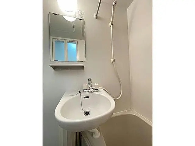 洗面設備　※同タイプ参考写真