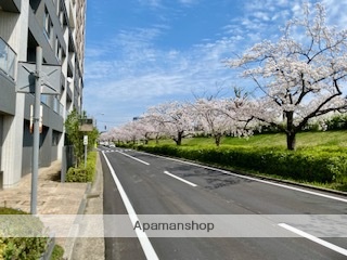 その他　南側道路（その他）まで0m