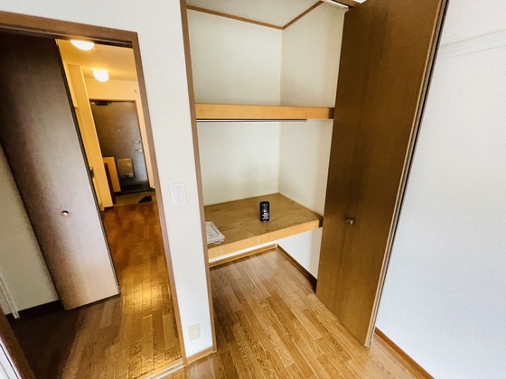 収納　※別部屋の写真です