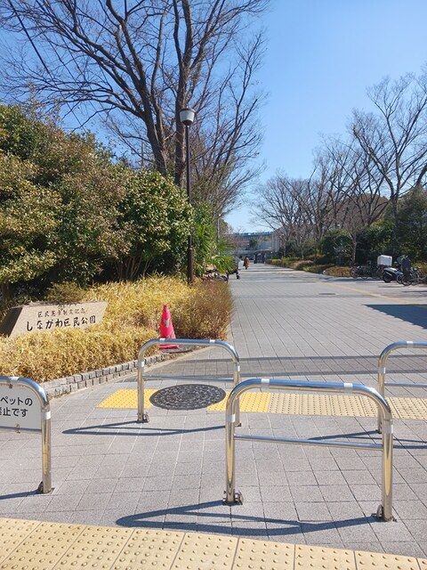 公園　しながわ区民公園（公園）まで169m