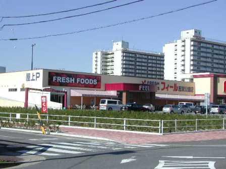 スーパー　FRESH FOODS FEEL(フレッシュ フーズ フィー（スーパー）まで391m