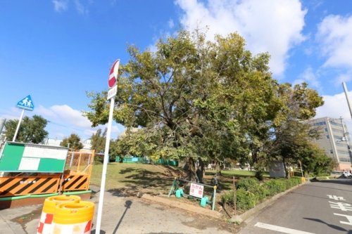 公園　上新田公園（公園）まで203m