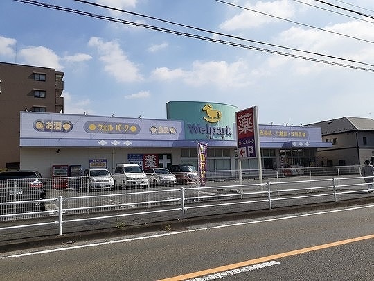 ドラックストア　ウェルパーク 立場店（ドラッグストア）まで672m