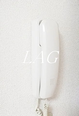 セキュリティ　インターホンです。