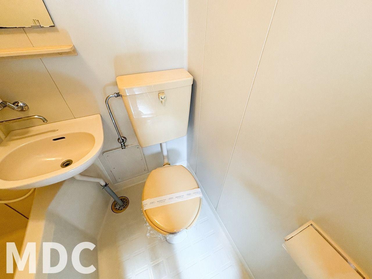 ＪＲ牟岐線 阿波富田駅 徒歩9分 5階建 築37年のトイレ写真