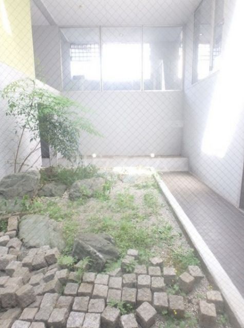 庭