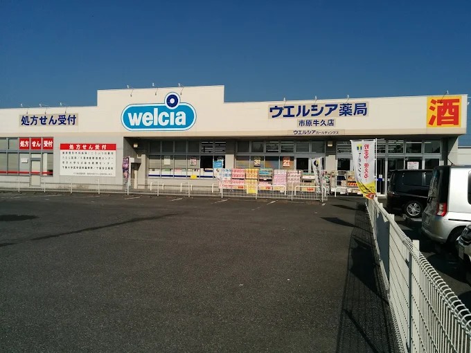 ドラックストア　ウエルシア市原牛久店（ドラッグストア）まで1074m