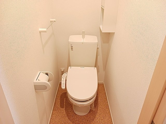 トイレ　トイレも気になるポイント