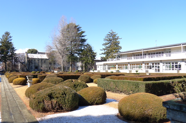 大学・短大　国立宇都宮大学（大学・短大）まで512m