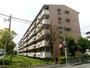 市営遠里小野住宅２号館 1階 築36年2ヶ月の賃貸物件