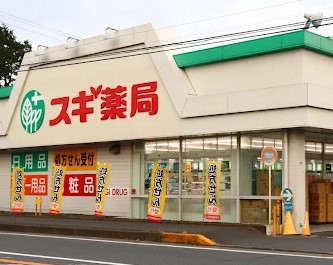ドラックストア　スギ薬局厚木恩名店（ドラッグストア）まで381m