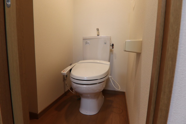 トイレ　※他号室の参考写真となります