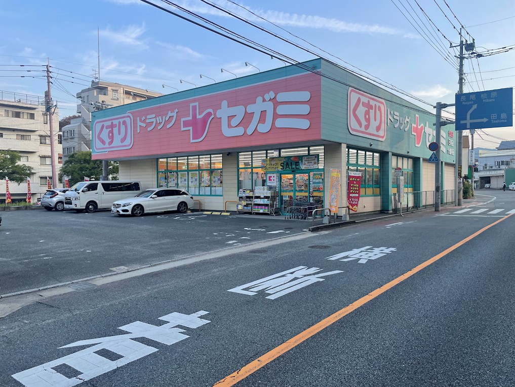ドラックストア　ドラッグセガミ 平尾山荘通り店（ドラッグストア）まで858m