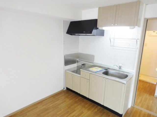 キッチン　同物件別号室のものです。