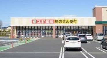 ドラックストア　スギ薬局早出店（ドラッグストア）まで828m