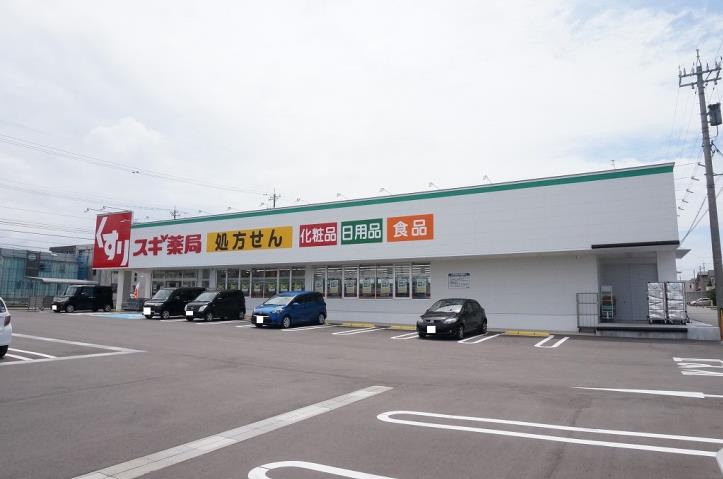 その他　スギ薬局（その他）まで309m